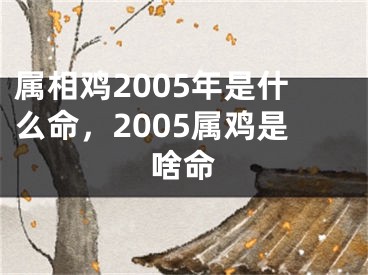 属相鸡2005年是什么命，2005属鸡是啥命