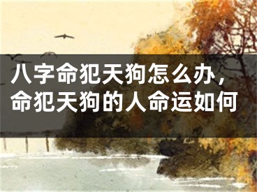 八字命犯天狗怎么办,命犯天狗的人命运如何