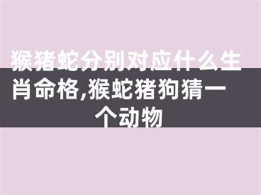 猴猪蛇分别对应什么生肖命格,猴蛇猪狗猜一个动物