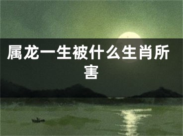 属龙一生被什么生肖所害