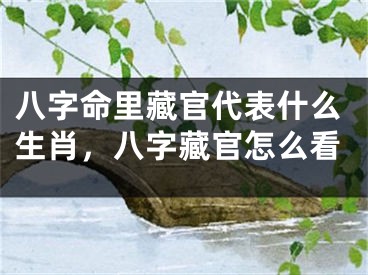 八字命里藏官代表什么生肖，八字藏官怎么看