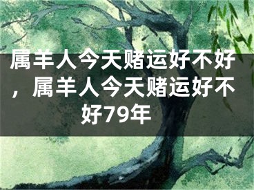 属羊人今天赌运好不好，属羊人今天赌运好不好79年