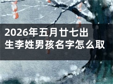 2026年五月廿七出生李姓男孩名字怎么取