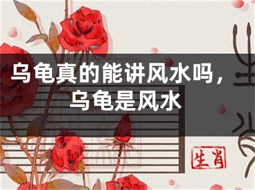 乌龟真的能讲风水吗，乌龟是风水