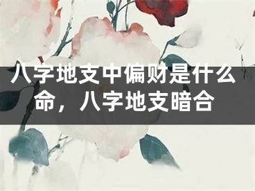 八字地支中偏财是什么命,八字地支暗合
