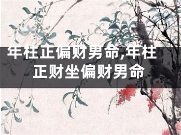 年柱正偏财男命,年柱正财坐偏财男命
