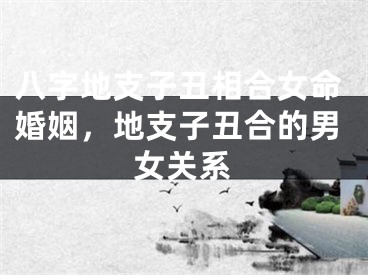 八字地支子丑相合女命婚姻，地支子丑合的男女关系