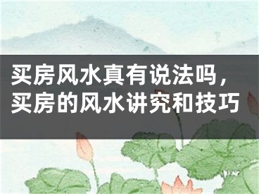 买房风水真有说法吗，买房的风水讲究和技巧