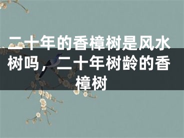 二十年的香樟树是风水树吗,二十年树龄的香樟树