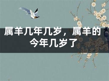 属羊几年几岁，属羊的今年几岁了