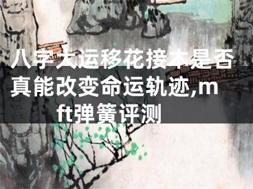 八字大运移花接木是否真能改变命运轨迹,mft弹簧评测