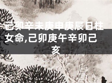 己卯辛未庚申庚辰日柱女命,己卯庚午辛卯己亥