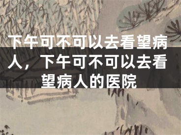 下午可不可以去看望病人，下午可不可以去看望病人的医院