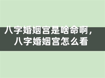 八字婚姻宫是啥命啊,八字婚姻宫怎么看