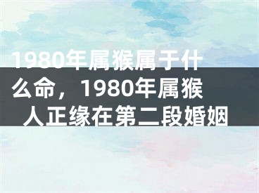 1980年属猴属于什么命，1980年属猴人正缘在第二段婚姻