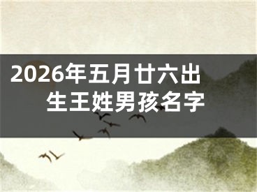 2026年五月廿六出生王姓男孩名字