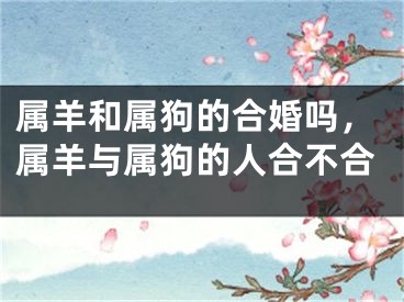 属羊和属狗的合婚吗，属羊与属狗的人合不合