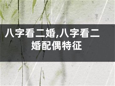 八字看二婚,八字看二婚配偶特征