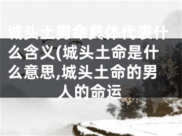 城头土男命具体代表什么含义(城头土命是什么意思,城头土命的男人的命运