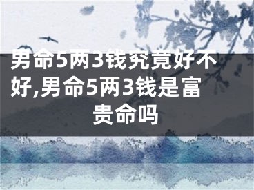 男命5两3钱究竟好不好,男命5两3钱是富贵命吗