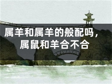 属羊和属羊的般配吗,属鼠和羊合不合