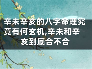 辛未辛亥的八字命理究竟有何玄机,辛未和辛亥到底合不合