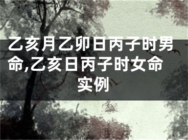 乙亥月乙卯日丙子时男命,乙亥日丙子时女命实例