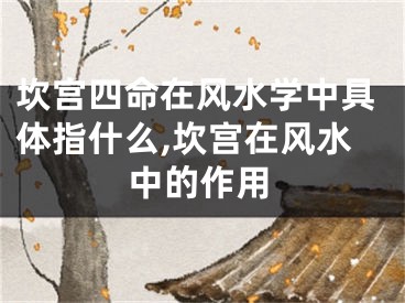 坎宫四命在风水学中具体指什么,坎宫在风水中的作用
