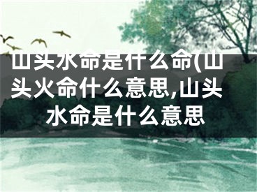 山头水命是什么命(山头火命什么意思,山头水命是什么意思