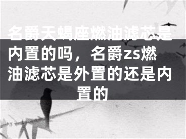 名爵天蝎座燃油滤芯是内置的吗，名爵zs燃油滤芯是外置的还是内置的
