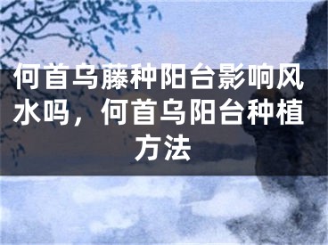 何首乌藤种阳台影响风水吗,何首乌阳台种植方法