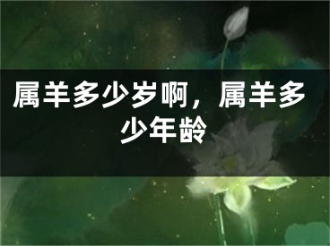 属羊多少岁啊，属羊多少年龄