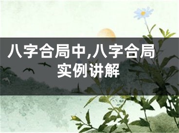 八字合局中,八字合局实例讲解