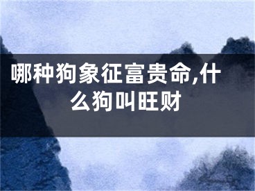 哪种狗象征富贵命,什么狗叫旺财