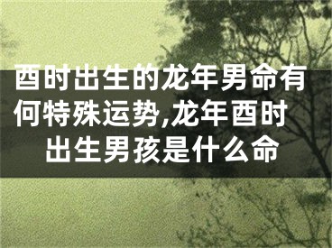 酉时出生的龙年男命有何特殊运势,龙年酉时出生男孩是什么命