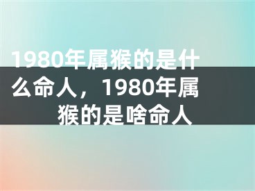 1980年属猴的是什么命人，1980年属猴的是啥命人