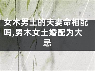 女木男土的夫妻命相配吗,男木女土婚配为大忌