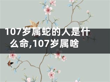 107岁属蛇的人是什么命,107岁属啥