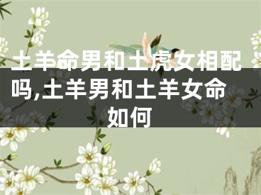 土羊命男和土虎女相配吗,土羊男和土羊女命如何