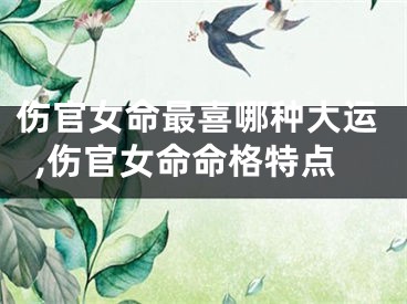 伤官女命最喜哪种大运,伤官女命命格特点