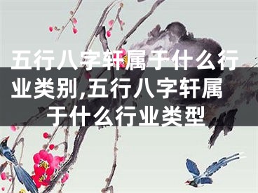 五行八字轩属于什么行业类别,五行八字轩属于什么行业类型