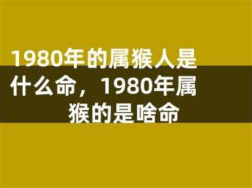 1980年的属猴人是什么命，1980年属猴的是啥命