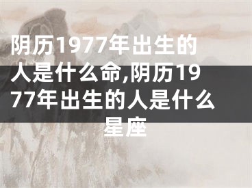 阴历1977年出生的人是什么命,阴历1977年出生的人是什么星座