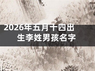 2026年五月十四出生李姓男孩名字