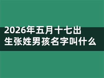 2026年五月十七出生张姓男孩名字叫什么