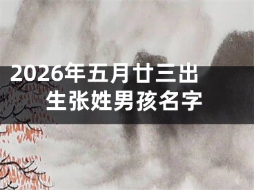2026年五月廿三出生张姓男孩名字