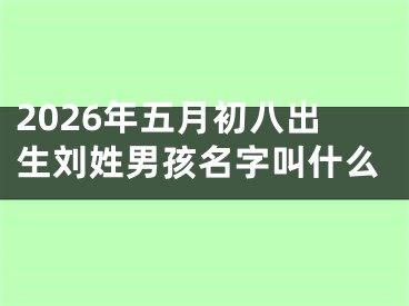 2026年五月初八出生刘姓男孩名字叫什么