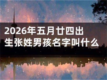 2026年五月廿四出生张姓男孩名字叫什么