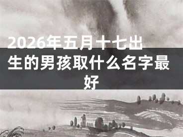 2026年五月十七出生的男孩取什么名字最好