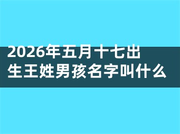 2026年五月十七出生王姓男孩名字叫什么